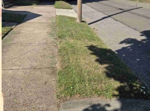 beverly n.'s grass cutting service result