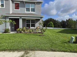 Jaime A.'s turf maintenance service result