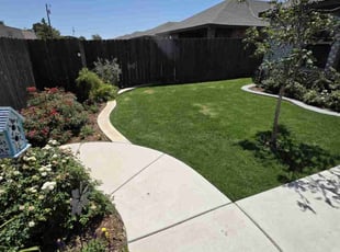 Mardina H.'s turf care service result