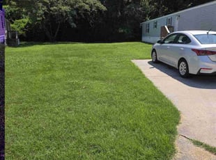 Phillip K.'s lawn care services service result
