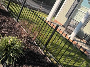 Portia D.'s lawn service service result