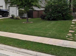 Cindy L.'s lawn service service result