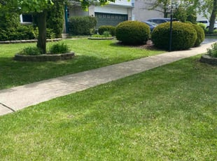 Nora T.'s turf maintenance service result