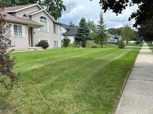 Pat A.'s lawn care services service result