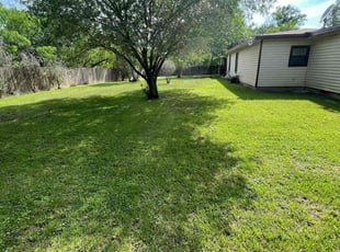 Lance C.'s grass maintenance service result