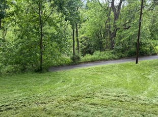 Sara D.'s grass maintenance service result