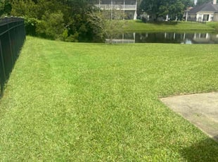 Roland F.'s lawn care service result
