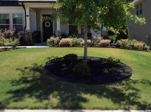 Leann J.'s turf care service result
