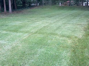 Charles J.'s lawn care services service result