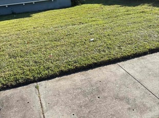 Muhamnad A.'s lawn service service result