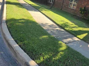 Billy J.'s turf care service result