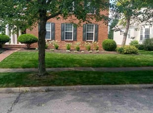Tim M.'s lawn care services service result