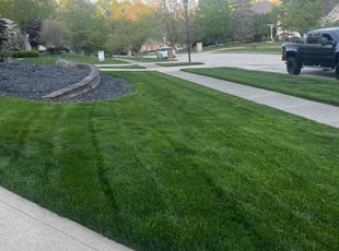 Tiffany M.'s turf maintenance service result