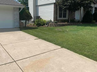 Glenn M.'s yard work service result