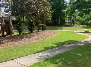 Cora Z.'s lawn service service result