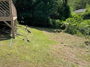 James S.'s Long Grass Cleanup service result