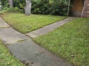 Jackie F.'s lawn service service result