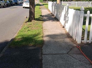 Julia T.'s turf maintenance service result