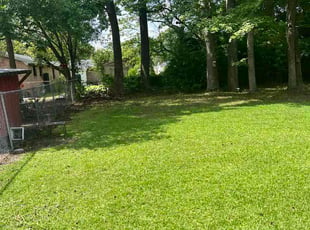 Yolanda B.'s lawn maintenance service result