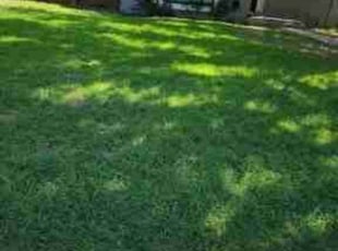 Michael P.'s lawn care services service result