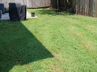 Norma J.'s lawn care services service result