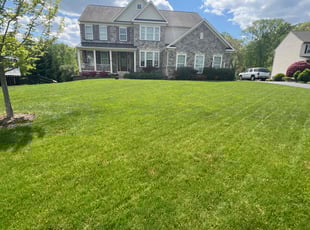 Candice P.'s grass maintenance service result