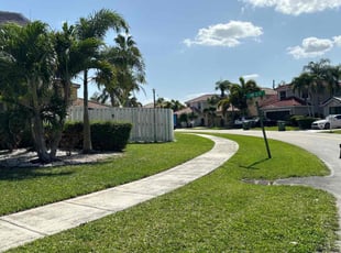 Jean B.'s yard care service result