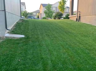 Lucy N.'s grass cutting service result