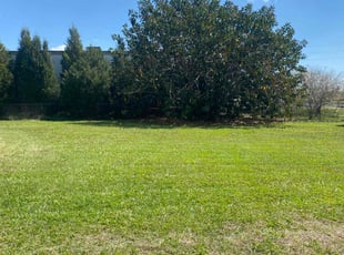 Natalie M.'s grass maintenance service result