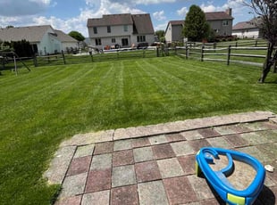Paul S.'s lawn care service result