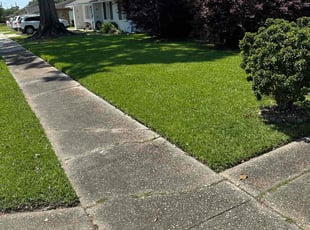 Debbie P.'s lawn care service result