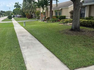 Anthony S.'s lawn maintenance service result
