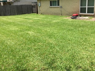 Clifford P.'s lawn service service result