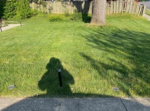 Diana R.'s lawn care service result