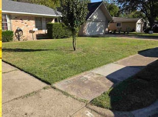 Dorothy A.'s lawn service service result