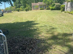 Marcus M.'s grass maintenance service result
