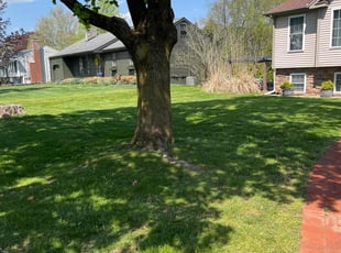 Mahagany B.'s grass maintenance service result