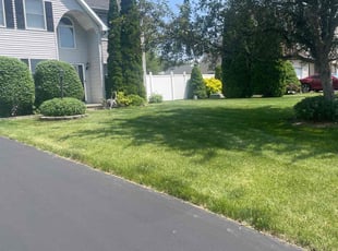 Bryan W.'s lawn service service result