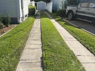 Bob M.'s turf care service result