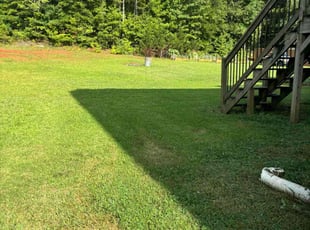 Amy A.'s yard service service result