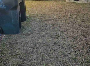 Daniel V.'s grass maintenance service result