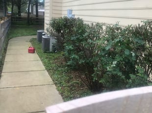 Tony M.'s Bush Trimming service result