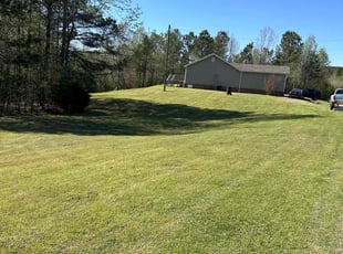 Tamekia E.'s grass cutting service result