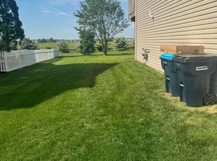 Bernice B.'s turf maintenance service result