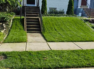 Ruben D.'s yard service service result