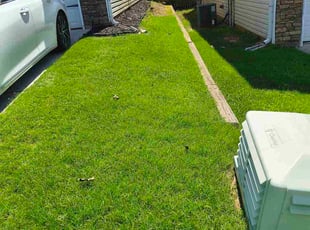 Ava F.'s lawn care service result