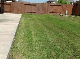 David R.'s lawn care service result