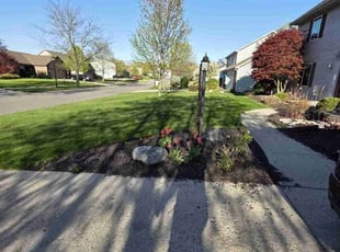 Daniel A.'s lawn service service result