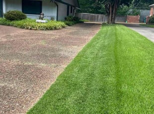 Keith P.'s gardening service service result