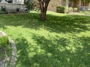 Diane M.'s grass cutting service result